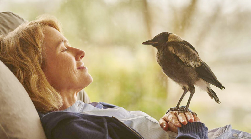 Naomi Watts and the titular magpie in Netflix's "Penguin Bloom" (2021)